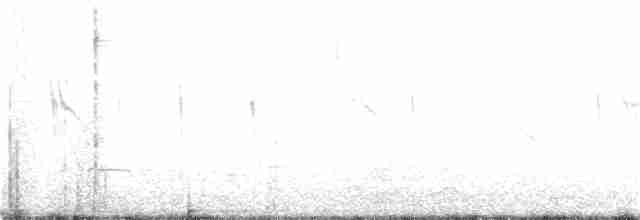 Kara Kuyruklu Bitkuşu - ML88895871