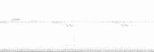 Скрытохвост татаупа - ML88962