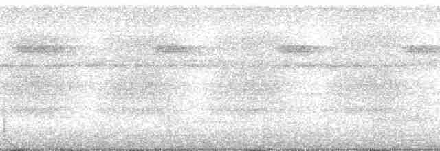 Декол плямистоволий (підвид melanochloros/nattereri) - ML88969