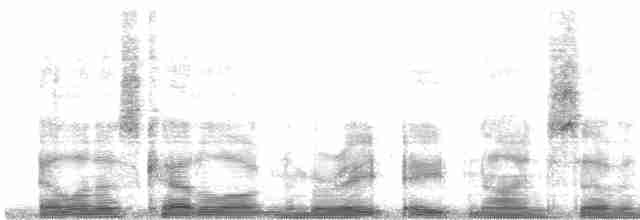 Troglodyte arada (arada) - ML8897