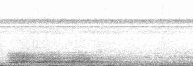 Декол плямистоволий (підвид melanochloros/nattereri) - ML88972
