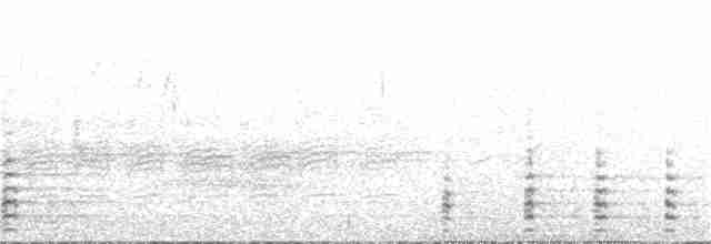 orel bělohlavý - ML89000921