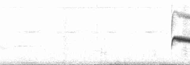 Euler Sinekkapanı - ML89009
