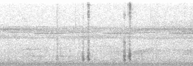 Пестроклювый арасари (inscriptus) - ML89132