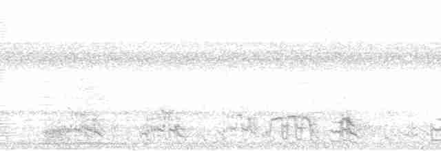 Flavescent Warbler - ML89187