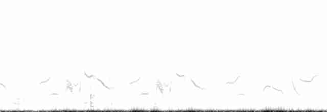Кактусовый пересмешник - ML89215261