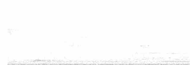 holub šedobřichý - ML89346751