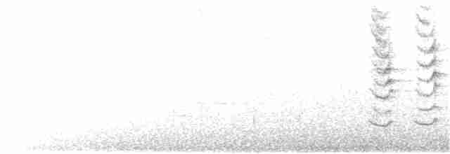 Troglodyte familier (rufescens) - ML89357141