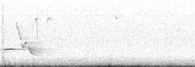 Каролинский крапивник - ML89457901