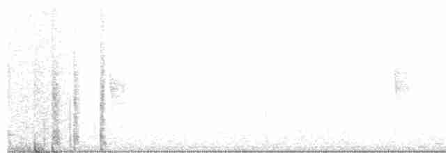 Kentucky Warbler - ML89481691