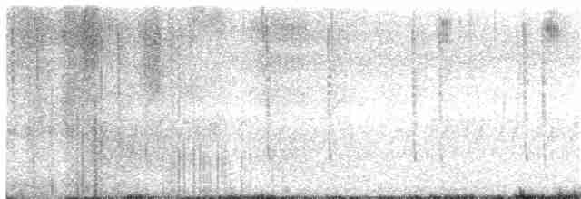Алленов колибри - ML89520481