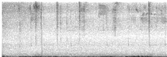 Алленов колибри - ML89523101