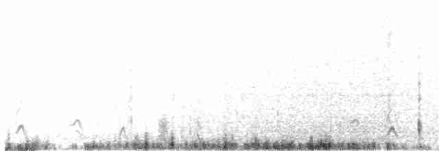 Kanada Kargası (obscurus/griseus) - ML89807221