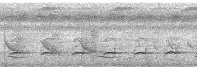Лінивка-коротун сіроголова - ML89872