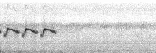 Kaya Çıtkuşu [obsoletus grubu] - ML89889