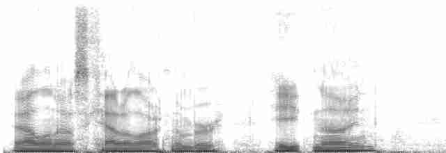 Kaya Çıtkuşu [obsoletus grubu] - ML89898