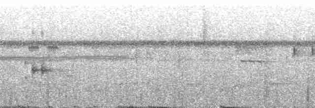 Short-tailed Nighthawk (Short-tailed) - ML90001