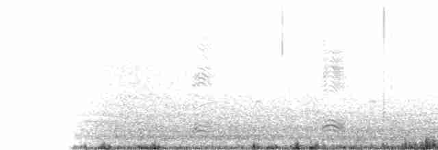 Fish Crow - ML90003531