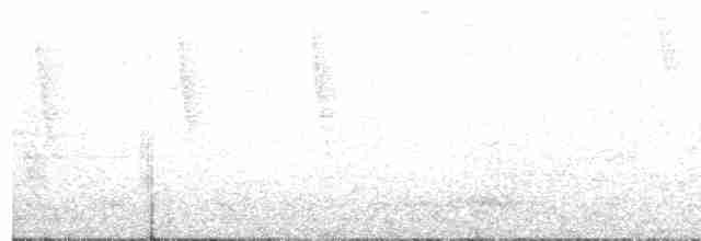 White-rimmed Brushfinch - ML90015061