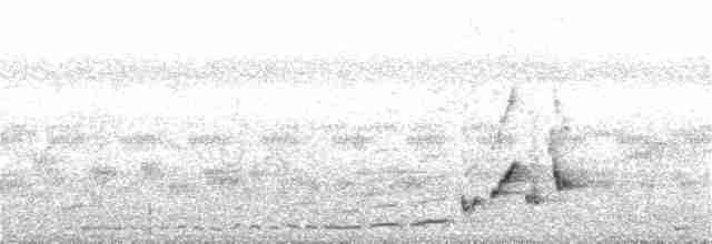 Короткокрылая камышевка - ML90059751