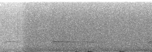 karmingumpkasik (uropygialis) - ML90067