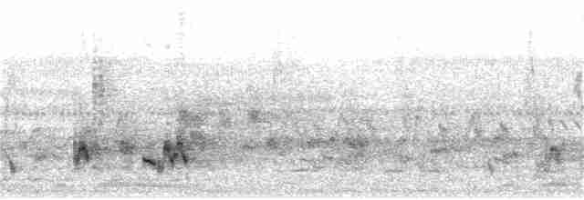 Çin Arapbülbülü (formosae/orii) - ML90069351
