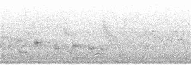 白頭翁(formosae/orii) - ML90069361