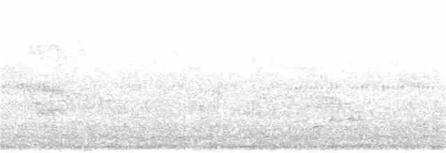 白頭翁(formosae/orii) - ML90069561