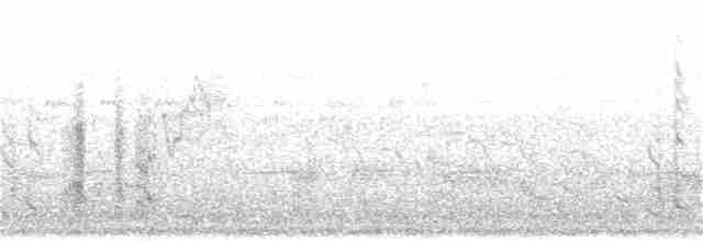 白頭翁(formosae/orii) - ML90069581
