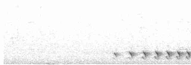 Bar-crested Antshrike - ML90071791