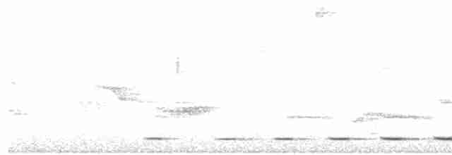 Short-tailed Antthrush - ML90072321