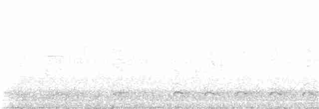 Al Kanatlı Karatavuk [phoeniceus grubu] - ML90117951