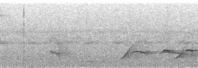 Мурав’янка-прудкокрил рондонійська - ML90177
