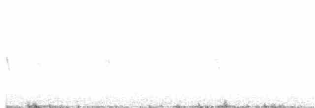 "Шишкар ялиновий (Western Hemlock, або тип 3)" - ML90378021