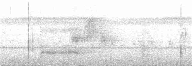 Горована гімалайська (підвид nigerrimus) - ML90411881