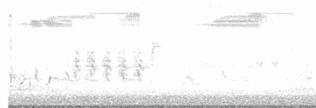Australian Reed Warbler - ML90673401