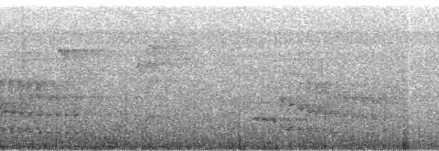 White-flanked Antwren (White-flanked) - ML90895