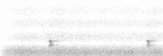 datlík smrkový (ssp. dorsalis) - ML90975631