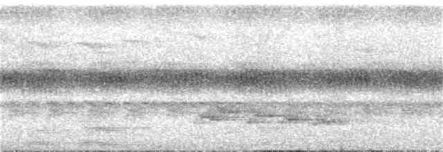 Gray-chested Babbler - ML91001331