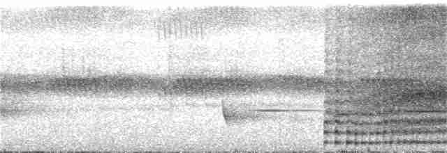 Сероголовый ширококлюв - ML91002011