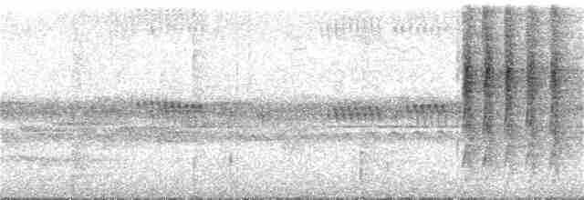 Gray-chested Babbler - ML91003491
