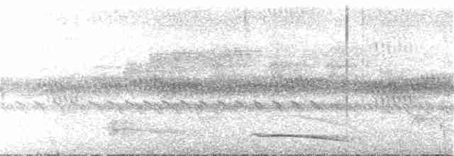 Bar-tailed Trogon - ML91003531