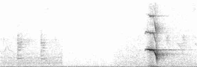Plush-crested Jay - ML91019941
