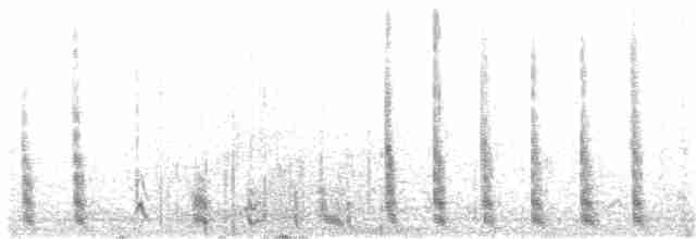 Kanada Kargası (obscurus/griseus) - ML91235831