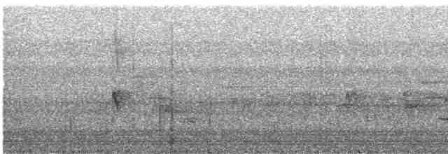 Thicket Tinamou - ML91305191