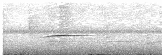 Sclater's Whistler - ML91319391