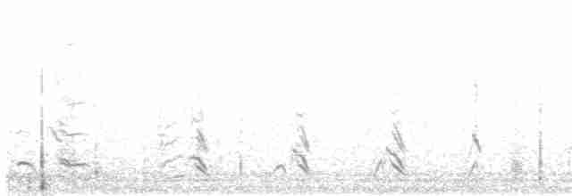 Kanada Kargası (obscurus/griseus) - ML91448901