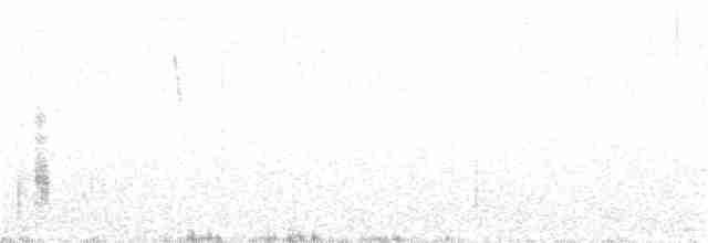 Гигантская лысуха - ML91458261