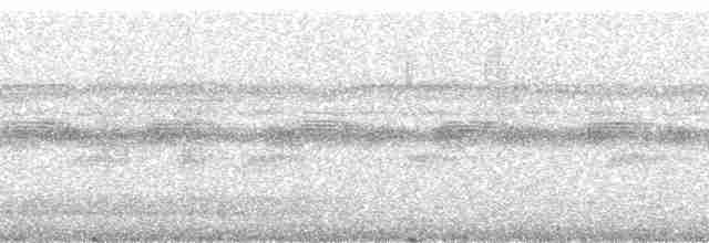 Сплюшка мадагаскарська (підвид rutilus) - ML91671