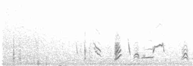 カナダカケス（obscurus／griseus） - ML91686641